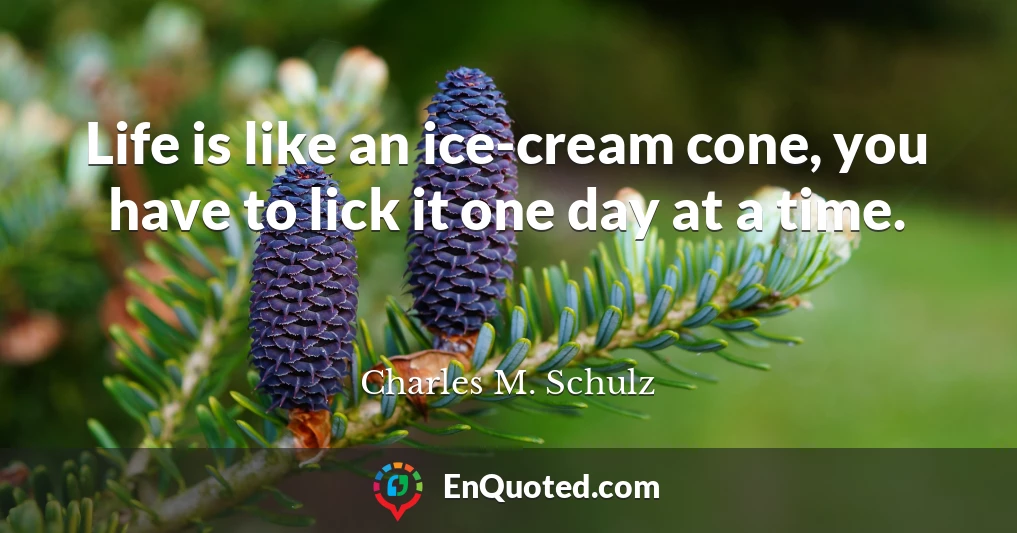 Life is like an ice-cream cone, you have to lick it one day at a time.