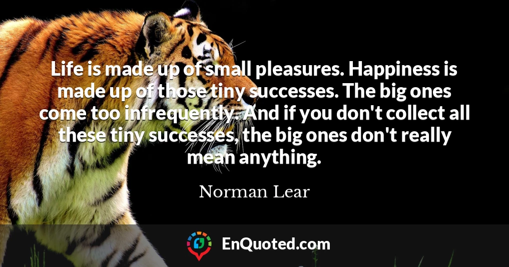 Life is made up of small pleasures. Happiness is made up of those tiny successes. The big ones come too infrequently. And if you don't collect all these tiny successes, the big ones don't really mean anything.