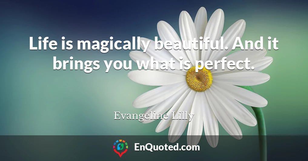 Life is magically beautiful. And it brings you what is perfect.
