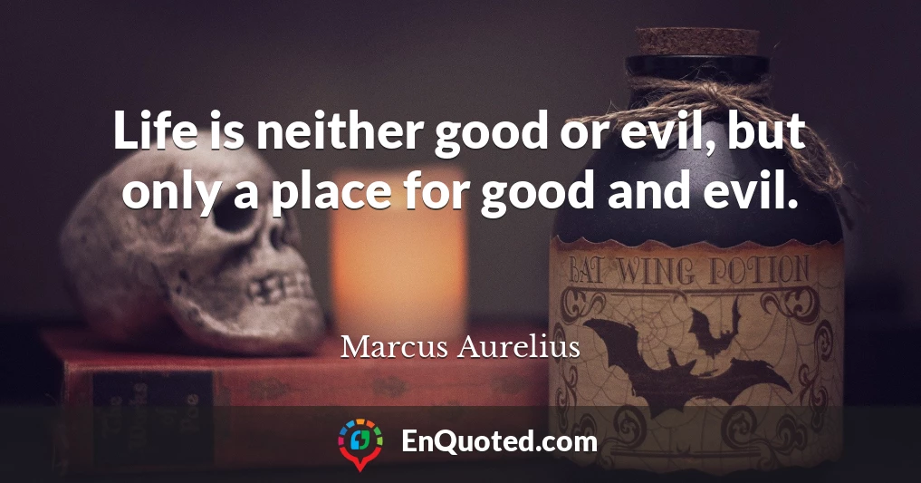 Life is neither good or evil, but only a place for good and evil.