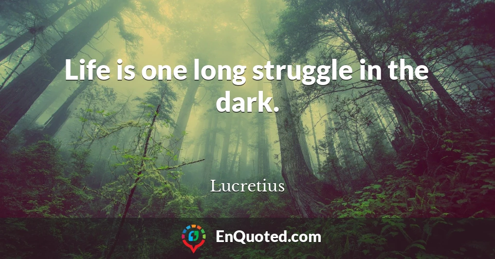 Life is one long struggle in the dark.