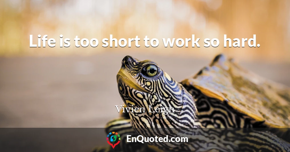 Life is too short to work so hard.