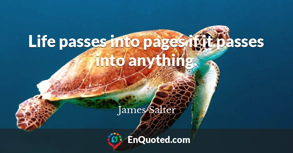 Life passes into pages if it passes into anything.
