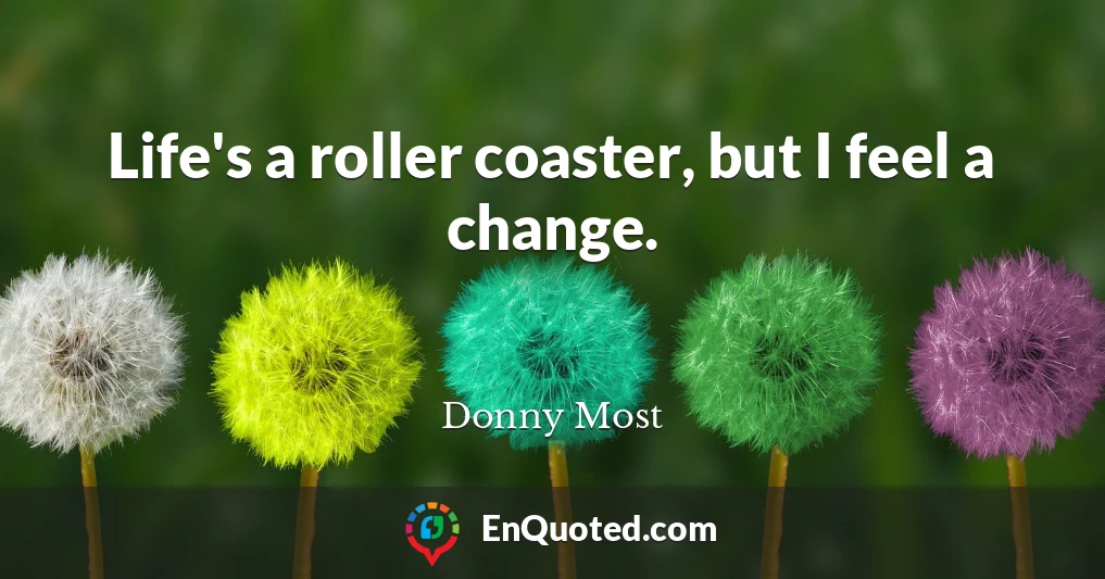 Life's a roller coaster, but I feel a change.