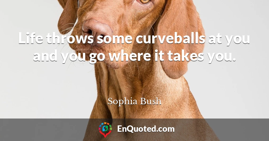 Life throws some curveballs at you and you go where it takes you.