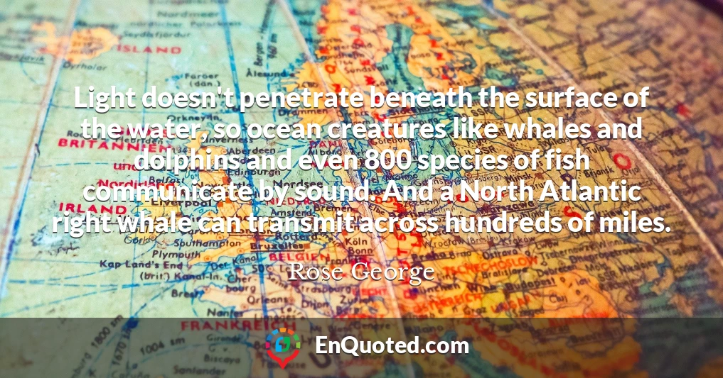 Light doesn't penetrate beneath the surface of the water, so ocean creatures like whales and dolphins and even 800 species of fish communicate by sound. And a North Atlantic right whale can transmit across hundreds of miles.