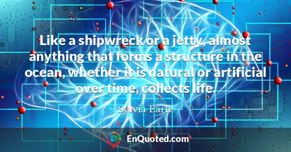 Like a shipwreck or a jetty, almost anything that forms a structure in the ocean, whether it is natural or artificial over time, collects life.