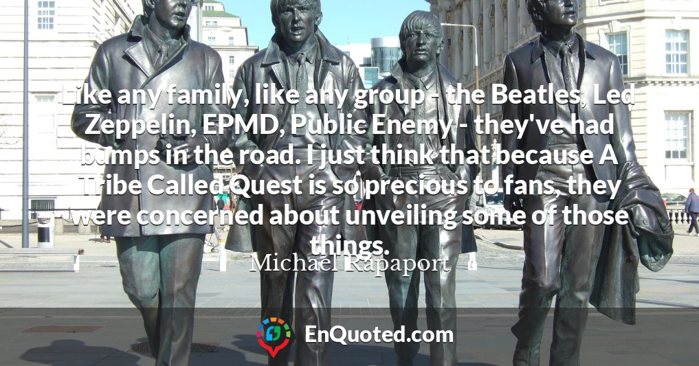 Like any family, like any group - the Beatles, Led Zeppelin, EPMD, Public Enemy - they've had bumps in the road. I just think that because A Tribe Called Quest is so precious to fans, they were concerned about unveiling some of those things.