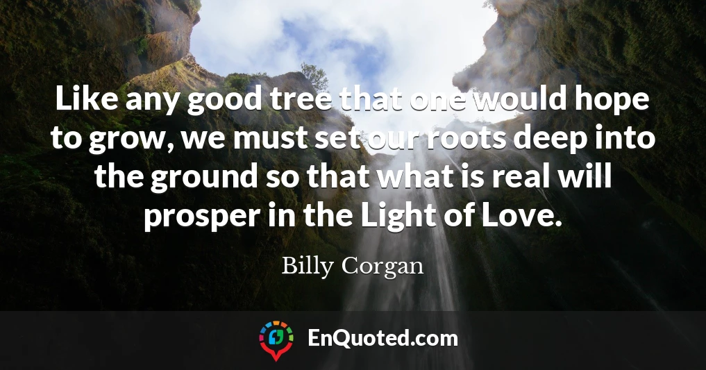 Like any good tree that one would hope to grow, we must set our roots deep into the ground so that what is real will prosper in the Light of Love.