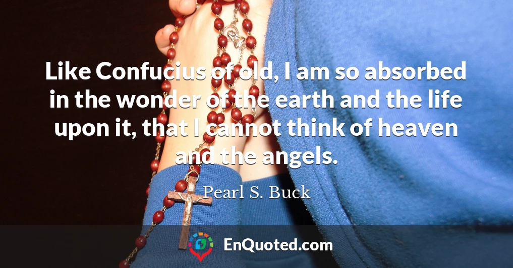 Like Confucius of old, I am so absorbed in the wonder of the earth and the life upon it, that I cannot think of heaven and the angels.