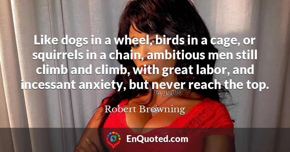 Like dogs in a wheel, birds in a cage, or squirrels in a chain, ambitious men still climb and climb, with great labor, and incessant anxiety, but never reach the top.