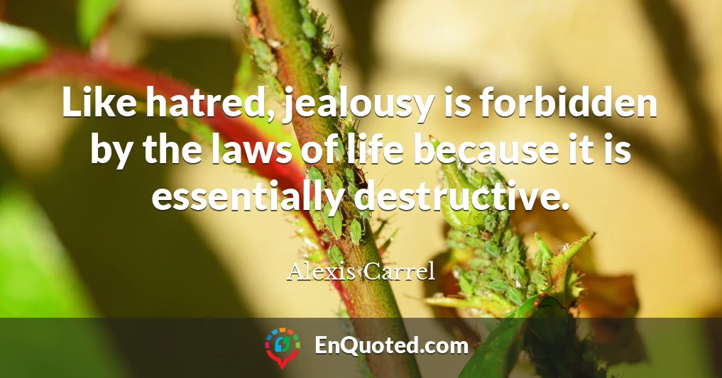 Like hatred, jealousy is forbidden by the laws of life because it is essentially destructive.