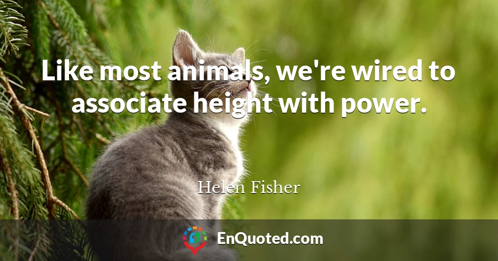 Like most animals, we're wired to associate height with power.