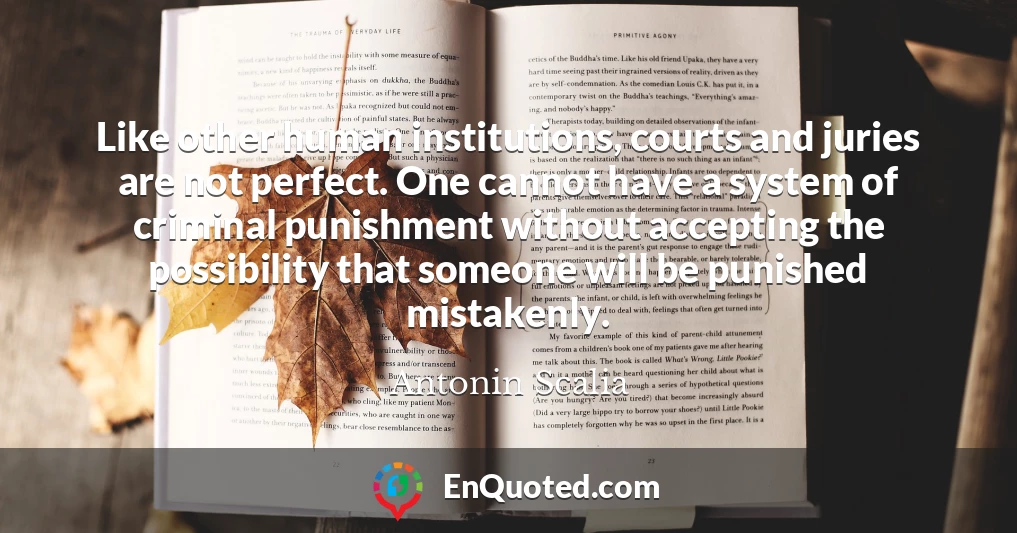 Like other human institutions, courts and juries are not perfect. One cannot have a system of criminal punishment without accepting the possibility that someone will be punished mistakenly.