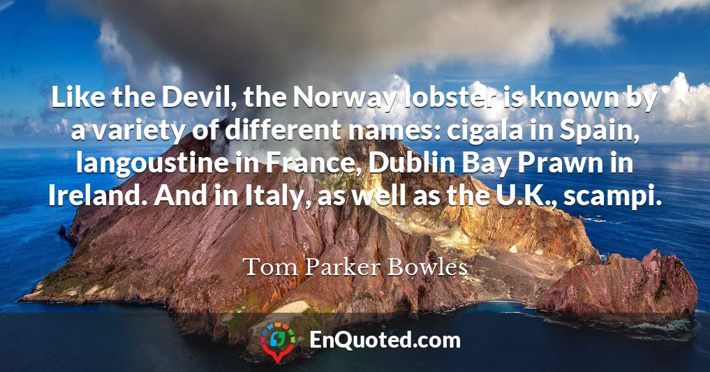 Like the Devil, the Norway lobster is known by a variety of different names: cigala in Spain, langoustine in France, Dublin Bay Prawn in Ireland. And in Italy, as well as the U.K., scampi.