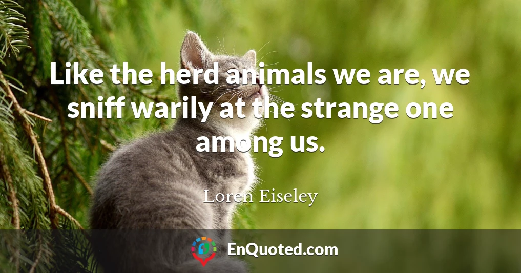 Like the herd animals we are, we sniff warily at the strange one among us.
