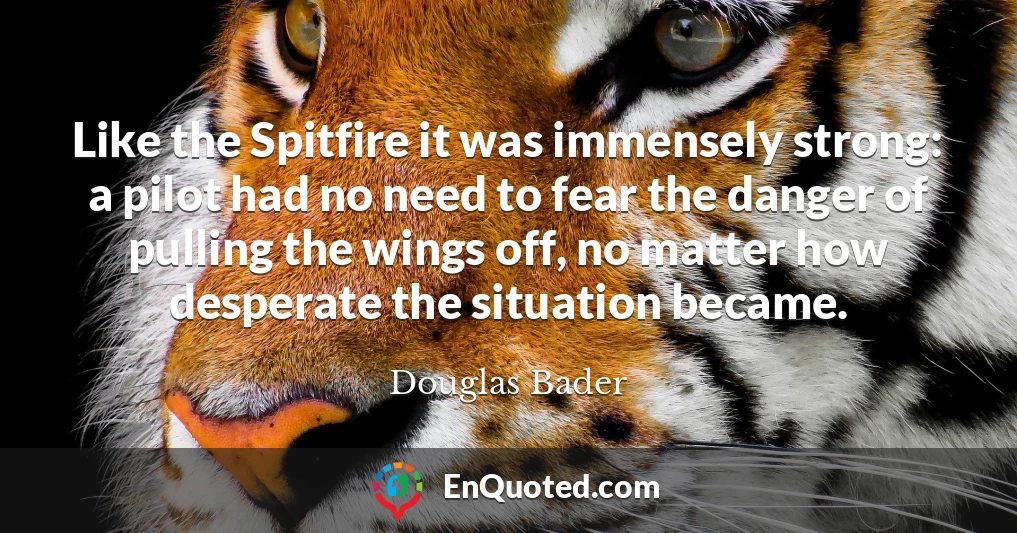 Like the Spitfire it was immensely strong: a pilot had no need to fear the danger of pulling the wings off, no matter how desperate the situation became.