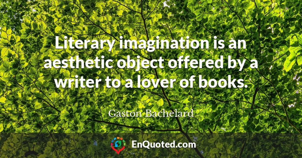 Literary imagination is an aesthetic object offered by a writer to a lover of books.