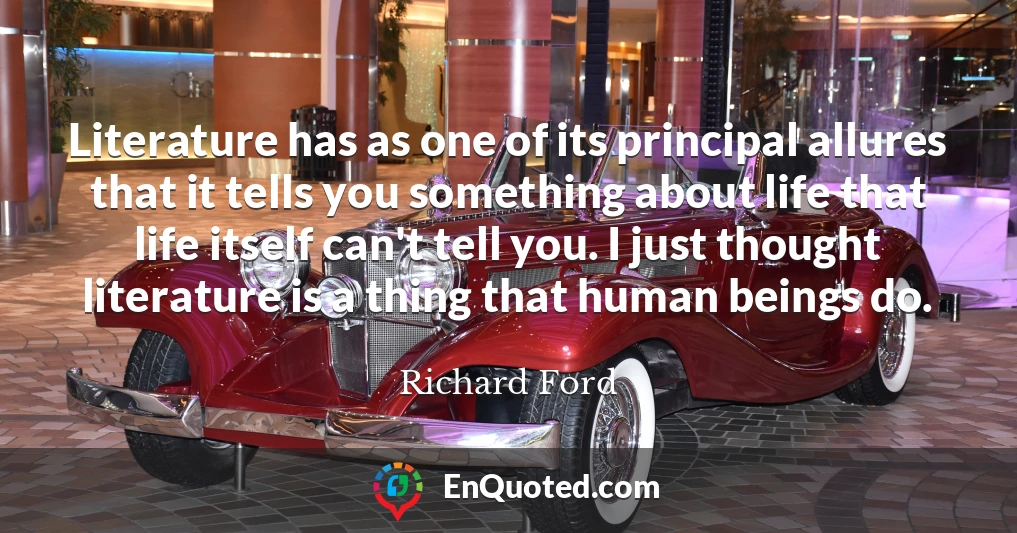 Literature has as one of its principal allures that it tells you something about life that life itself can't tell you. I just thought literature is a thing that human beings do.