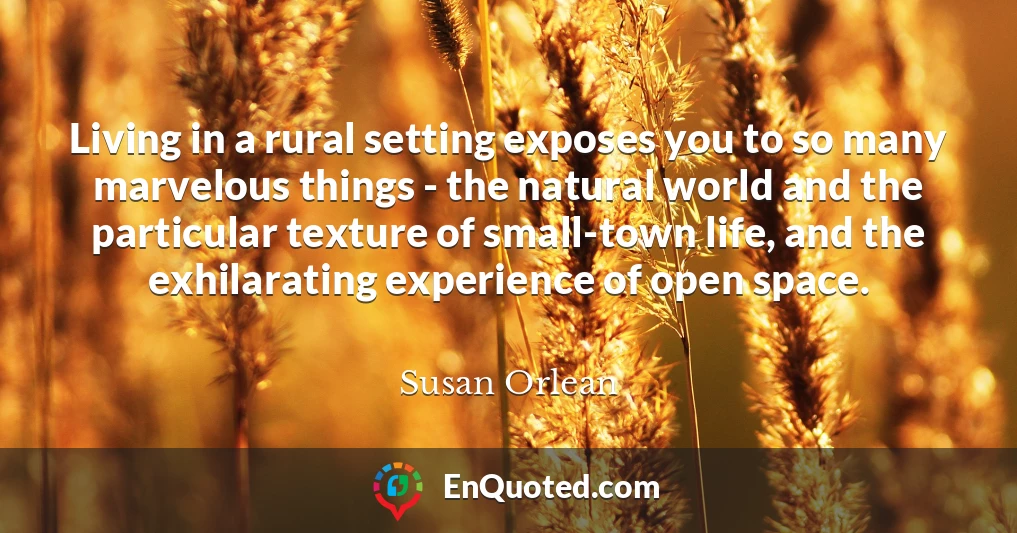 Living in a rural setting exposes you to so many marvelous things - the natural world and the particular texture of small-town life, and the exhilarating experience of open space.
