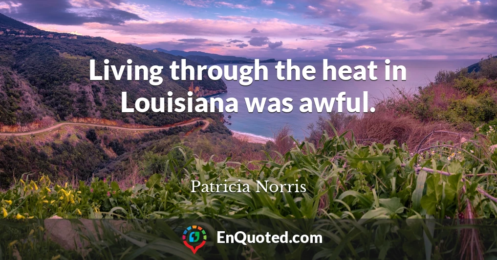 Living through the heat in Louisiana was awful.