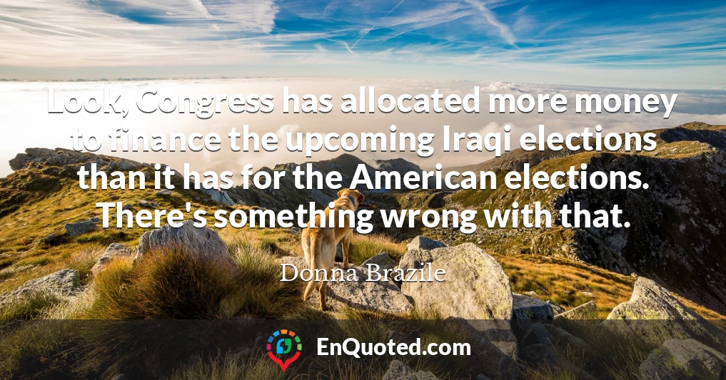 Look, Congress has allocated more money to finance the upcoming Iraqi elections than it has for the American elections. There's something wrong with that.