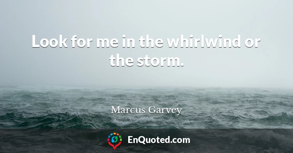Look for me in the whirlwind or the storm.