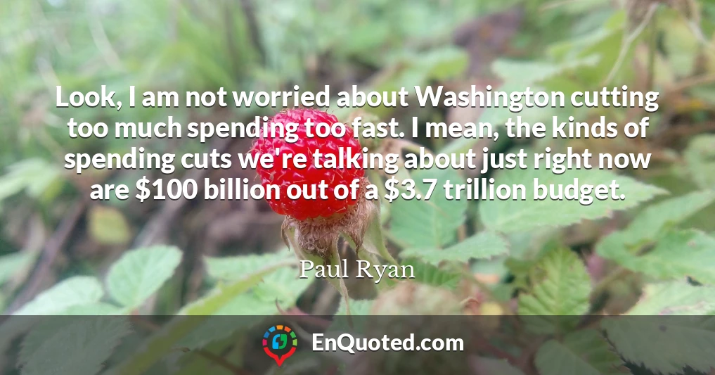 Look, I am not worried about Washington cutting too much spending too fast. I mean, the kinds of spending cuts we're talking about just right now are $100 billion out of a $3.7 trillion budget.