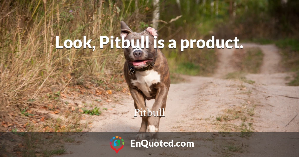 Look, Pitbull is a product.