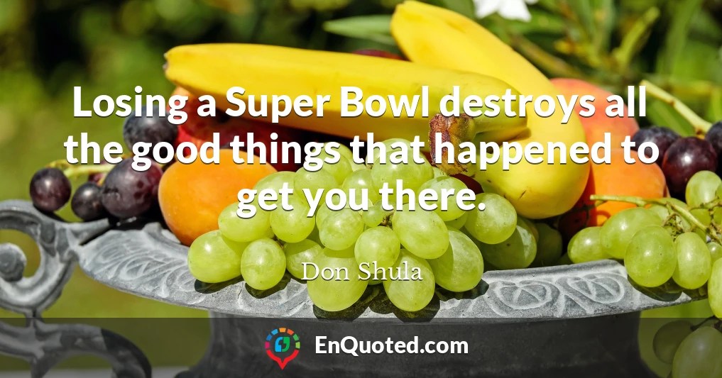 Losing a Super Bowl destroys all the good things that happened to get you there.