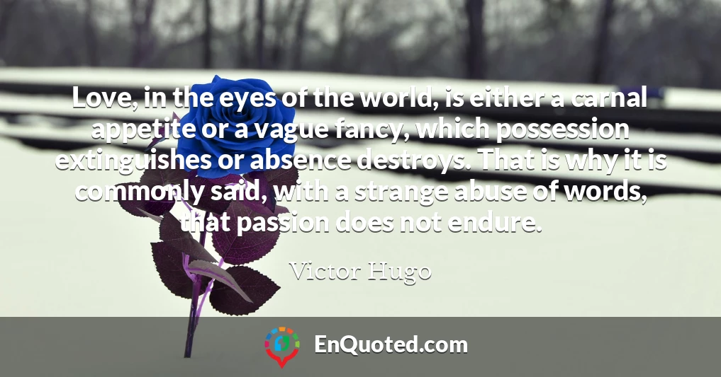 Love, in the eyes of the world, is either a carnal appetite or a vague fancy, which possession extinguishes or absence destroys. That is why it is commonly said, with a strange abuse of words, that passion does not endure.