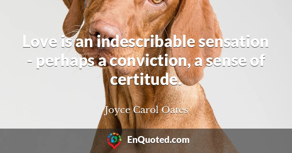 Love is an indescribable sensation - perhaps a conviction, a sense of certitude.