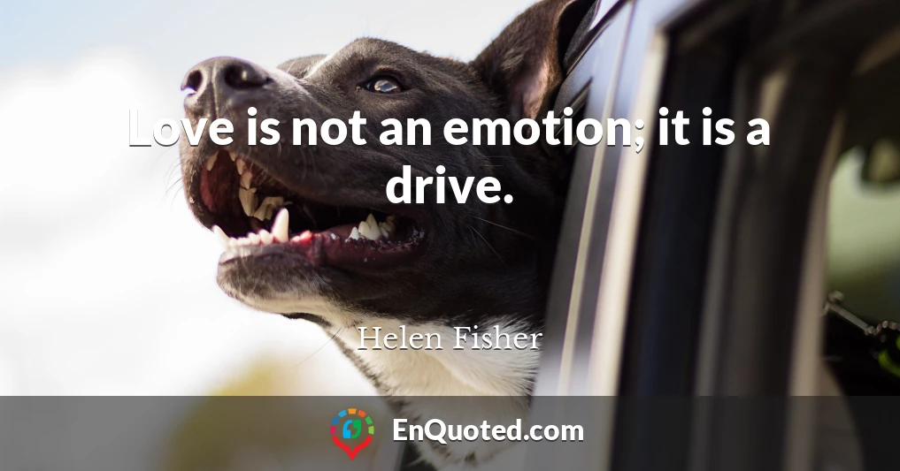Love is not an emotion; it is a drive.