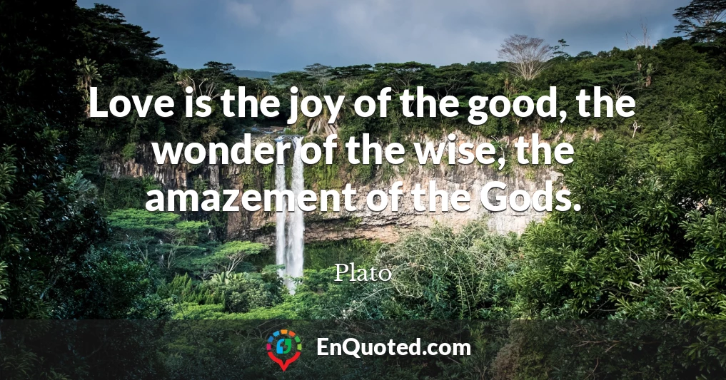 Love is the joy of the good, the wonder of the wise, the amazement of the Gods.