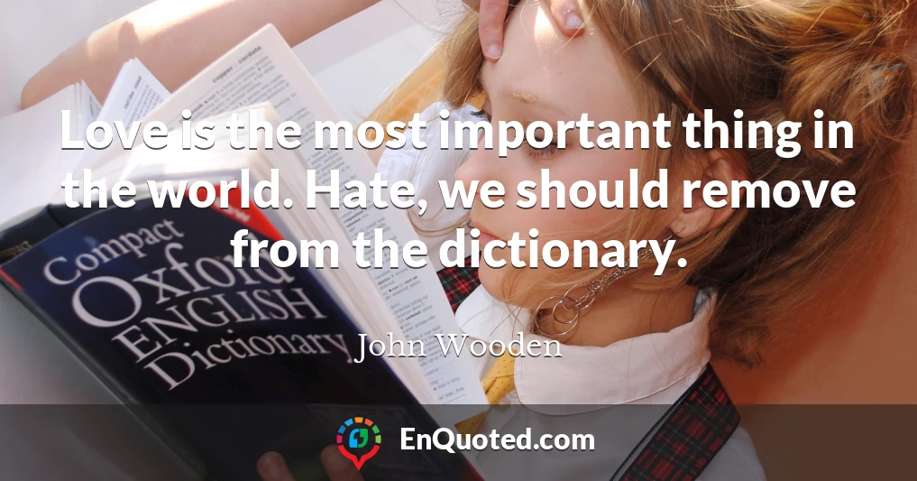 Love is the most important thing in the world. Hate, we should remove from the dictionary.