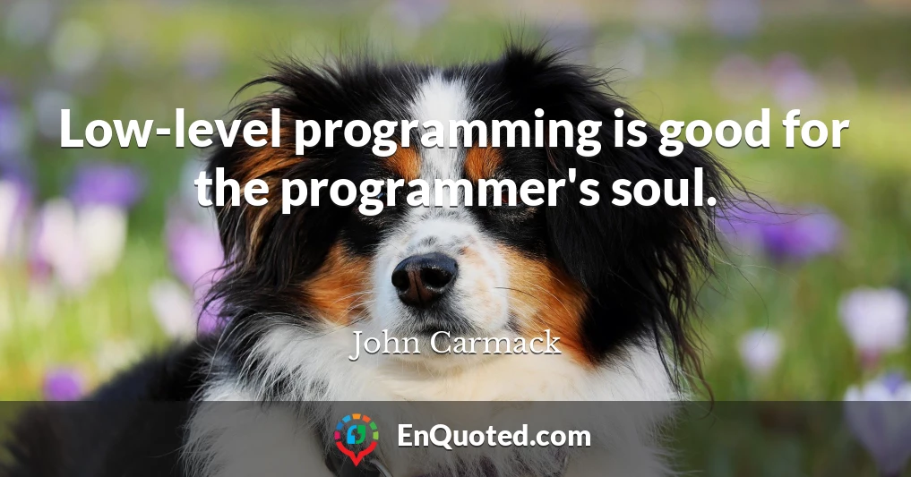 Low-level programming is good for the programmer's soul.