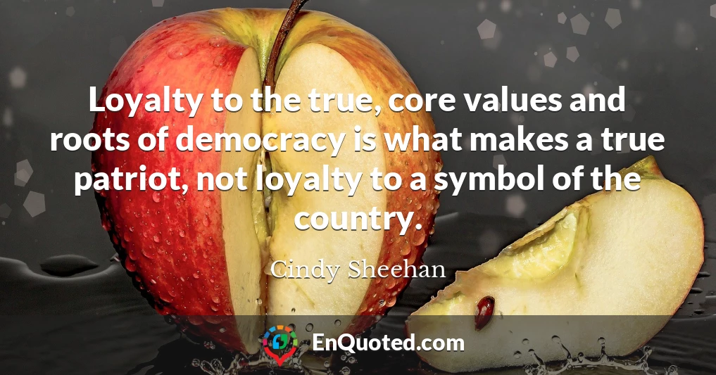 Loyalty to the true, core values and roots of democracy is what makes a true patriot, not loyalty to a symbol of the country.