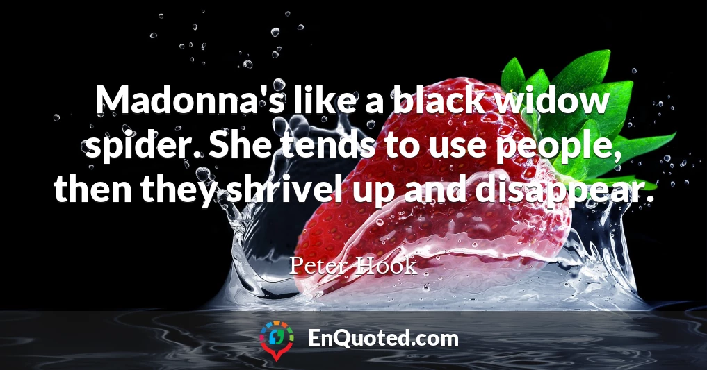 Madonna's like a black widow spider. She tends to use people, then they shrivel up and disappear.