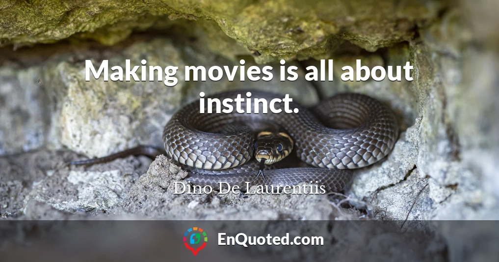 Making movies is all about instinct.