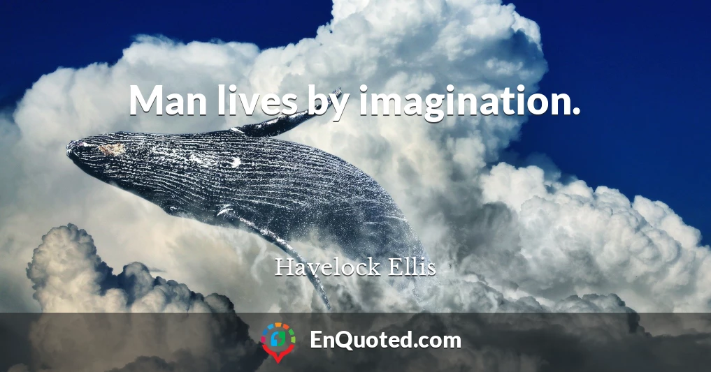 Man lives by imagination.