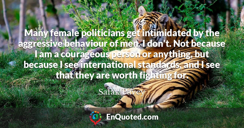 Many female politicians get intimidated by the aggressive behaviour of men. I don't. Not because I am a courageous person or anything, but because I see international standards, and I see that they are worth fighting for.