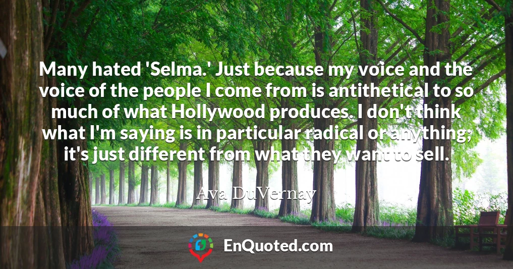 Many hated 'Selma.' Just because my voice and the voice of the people I come from is antithetical to so much of what Hollywood produces. I don't think what I'm saying is in particular radical or anything; it's just different from what they want to sell.