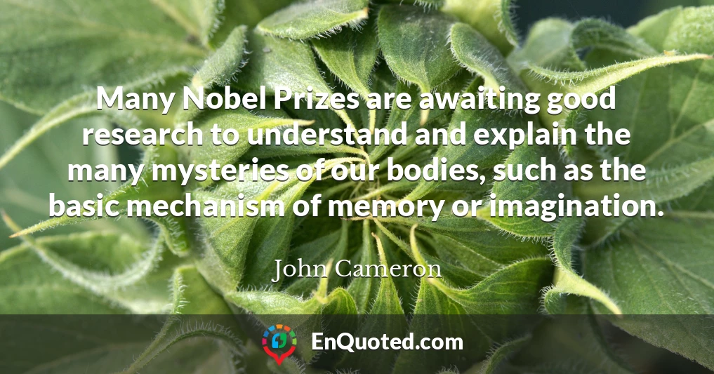 Many Nobel Prizes are awaiting good research to understand and explain the many mysteries of our bodies, such as the basic mechanism of memory or imagination.