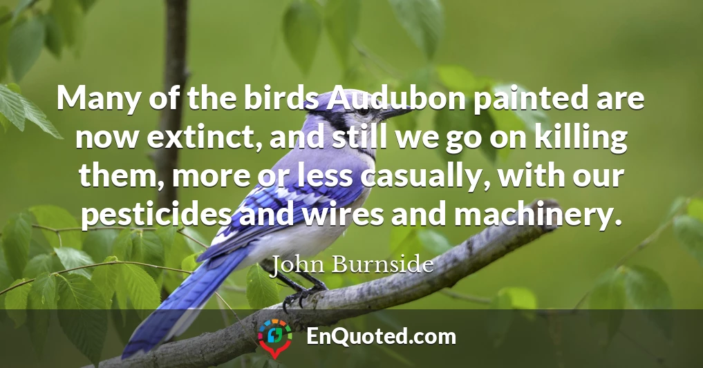 Many of the birds Audubon painted are now extinct, and still we go on killing them, more or less casually, with our pesticides and wires and machinery.