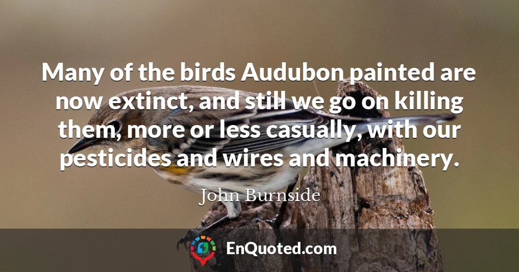 Many of the birds Audubon painted are now extinct, and still we go on killing them, more or less casually, with our pesticides and wires and machinery.