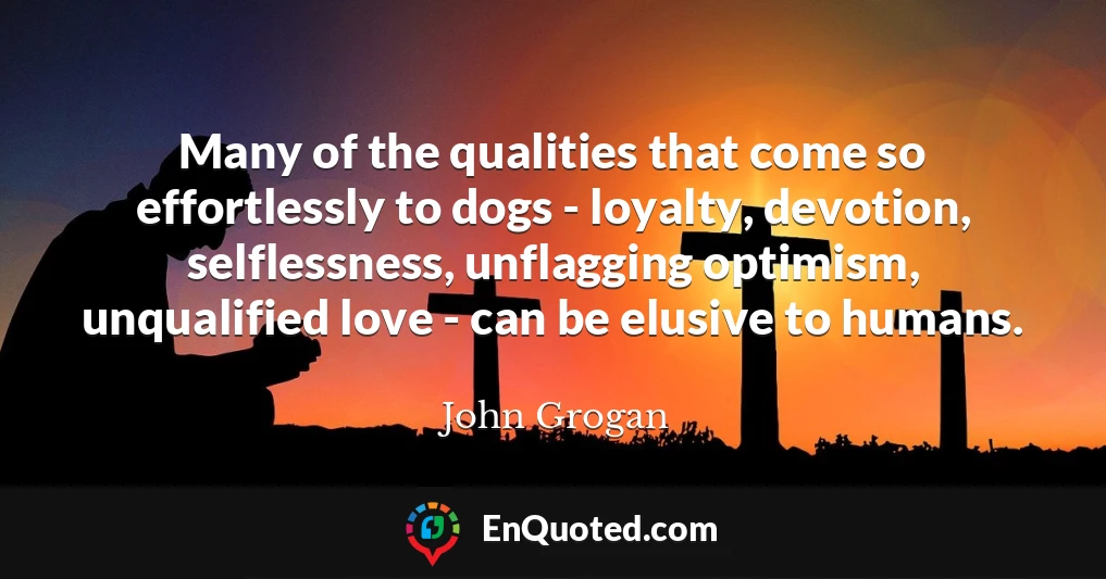 Many of the qualities that come so effortlessly to dogs - loyalty, devotion, selflessness, unflagging optimism, unqualified love - can be elusive to humans.