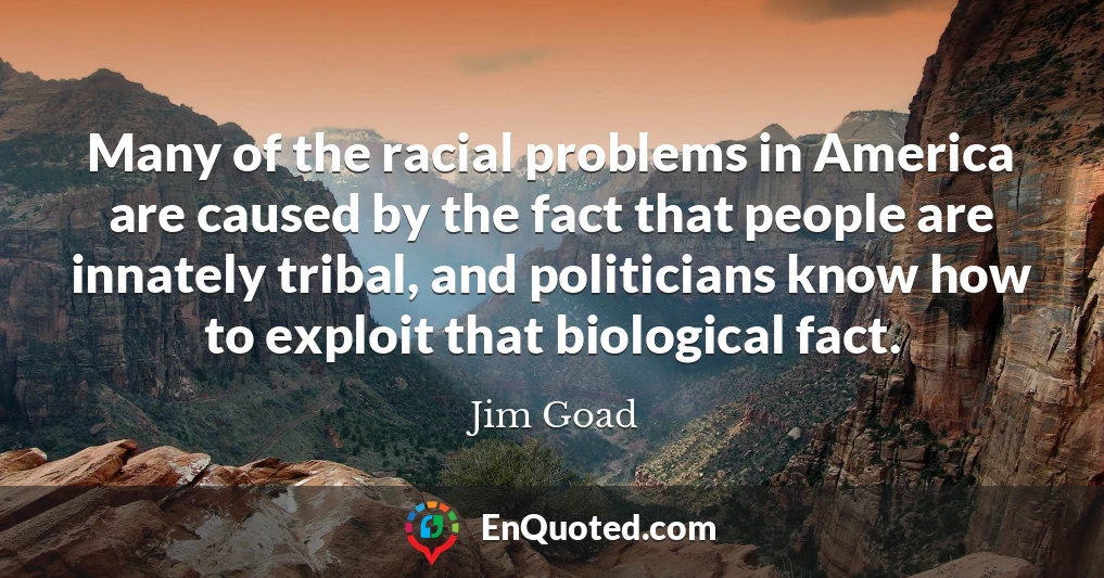 Many of the racial problems in America are caused by the fact that people are innately tribal, and politicians know how to exploit that biological fact.