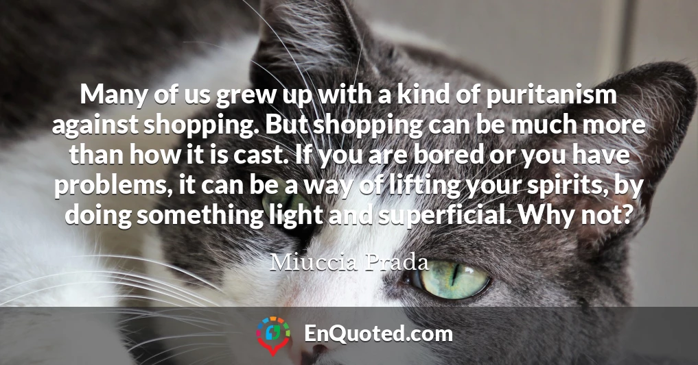 Many of us grew up with a kind of puritanism against shopping. But shopping can be much more than how it is cast. If you are bored or you have problems, it can be a way of lifting your spirits, by doing something light and superficial. Why not?