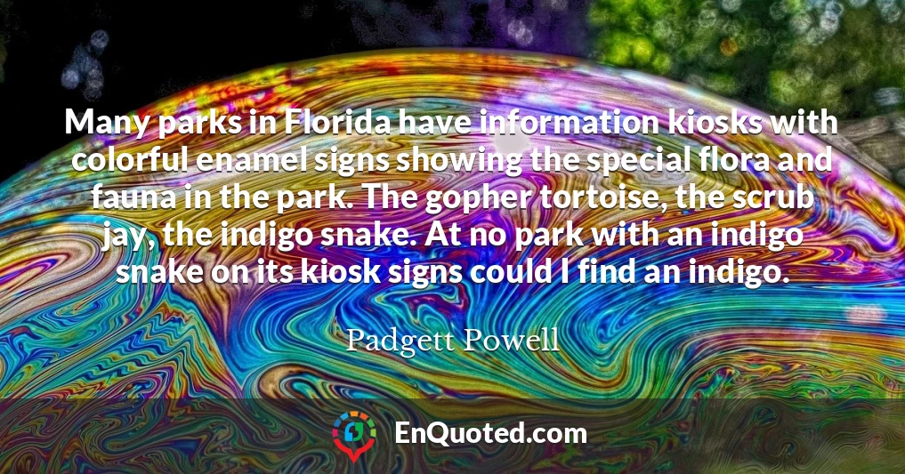 Many parks in Florida have information kiosks with colorful enamel signs showing the special flora and fauna in the park. The gopher tortoise, the scrub jay, the indigo snake. At no park with an indigo snake on its kiosk signs could I find an indigo.