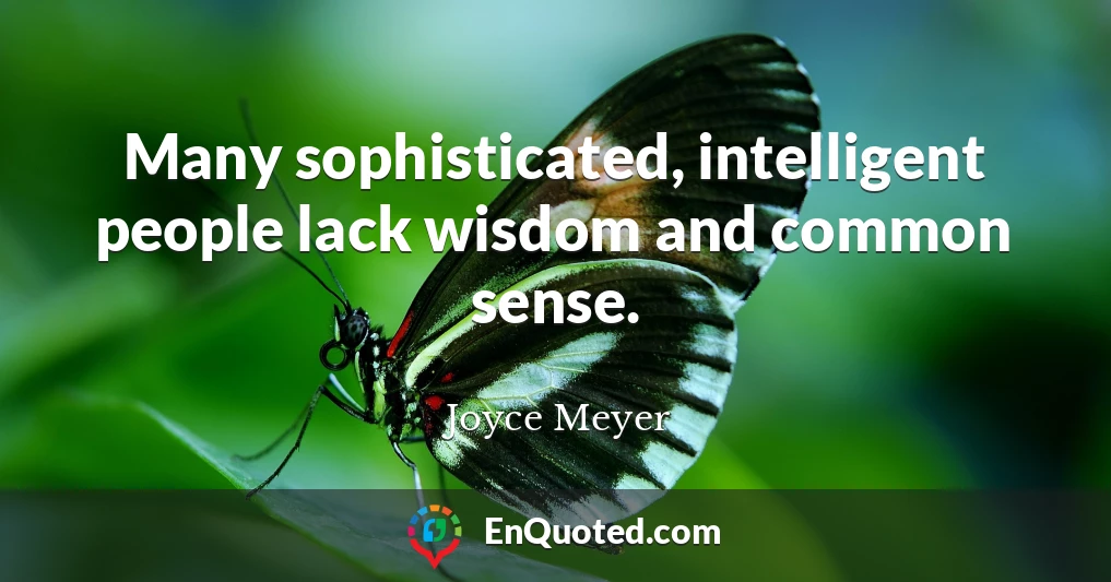 Many sophisticated, intelligent people lack wisdom and common sense.